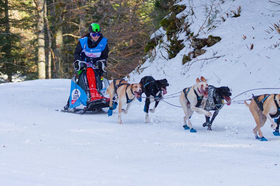 training sleds for concrete driveways and pavement buying guide
