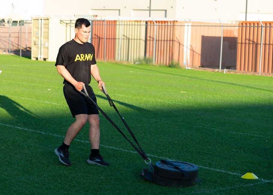 training sled comparison and buying guide
